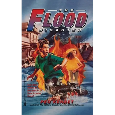 The Flood Disaster