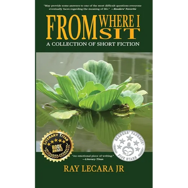 From Where I Sit: A Collection of Short Fiction
