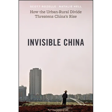 Invisible China: How the Urban-Rural Divide Threatens China's Rise