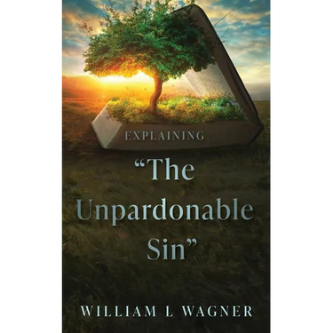Explaining "The Unpardonable Sin"