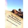 The Prince at the Ruined Tower