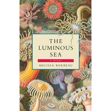 The Luminous Sea