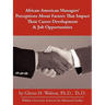 African-American Managers' Perceptions About Factors That Impact Their Career Development & Job Opportunities