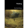 Walking
