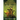 Bog Standard Isekai: Scarred - A LitRPG Isekai Adventure