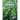 Handbook of Forestry