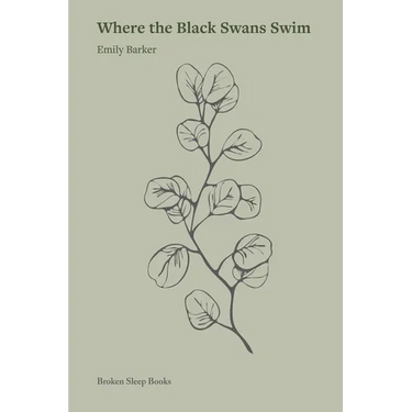 Where the Black Swans Swim
