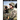 The Axis Forces 2