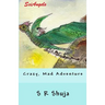 SciAngels: Crazy, Mad Adventure