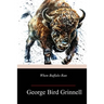 When Buffalo Ran
