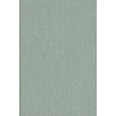 Platons Timaios ALS Grundtext Der Kosmologie in Spätantike, Mittelalter Und Renaissance = Plato's Timaeus and the Foundations of Cosmology in Late Ant