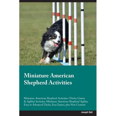 Miniature American Shepherd Activities Miniature American Shepherd Activities (Tricks, Games & Agility) Includes: Miniature American Shepherd Agility,