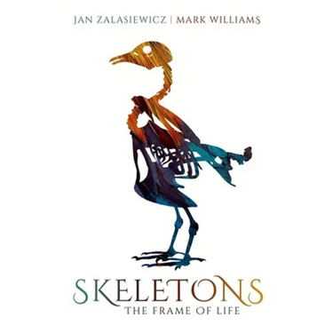 Skeletons: The Frame of Life