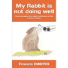 My Rabbit is not doing well: Three decades of a silent reflection on the French society