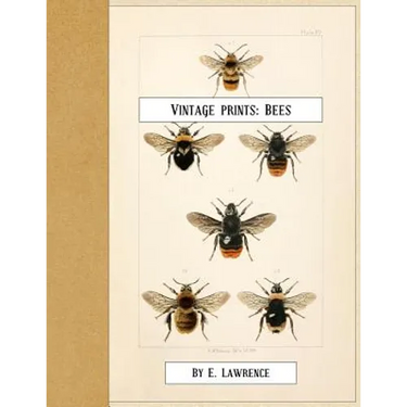 Vintage Prints: Bees