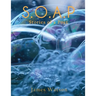 S.O.A.P (Stories of a Poet)
