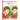 Short Story for Kids Age 4- 9: Beautiful Illustration Story Fairy Tales for Kids!
