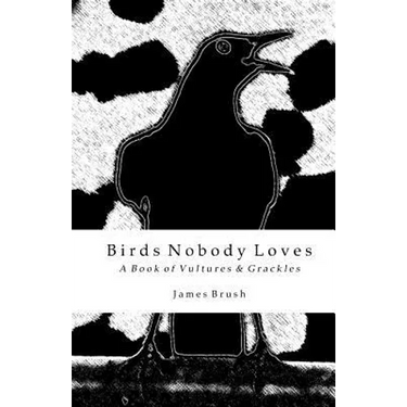 Birds Nobody Loves: A Book of Vultures & Grackles