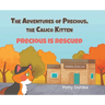 The Adventures of Precious, the Calico Kitten: Precious is Rescued