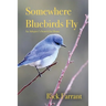 Somewhere Bluebirds Fly: An Adoptee's Search for Home