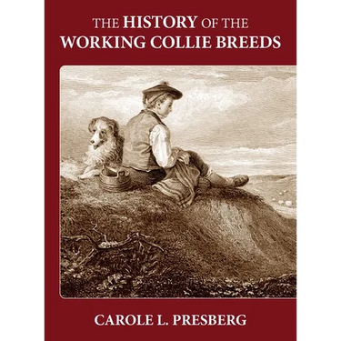 The History of the Working Collie Breeds