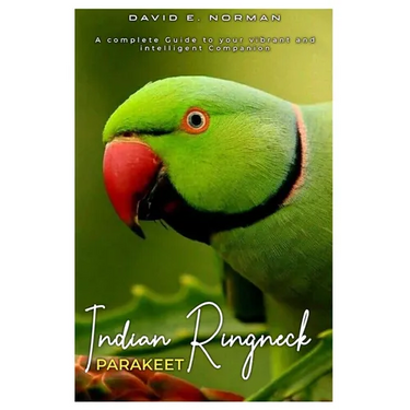 Indian Ringneck Parakeet: A comprehensive Guide to your vibrant and intelligent companion