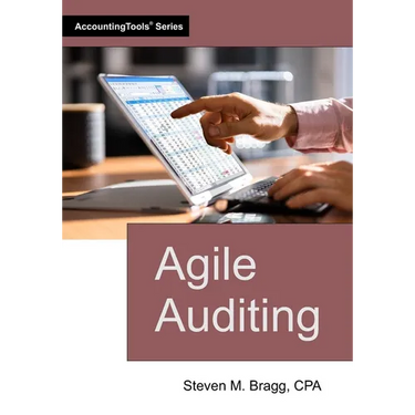 Agile Auditing