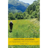 Thinking Systems