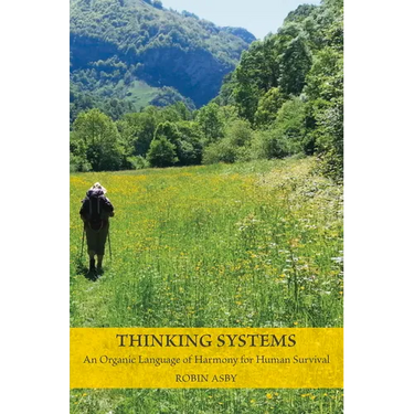 Thinking Systems