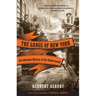 The Gangs of New York: An Informal History of the Underworld