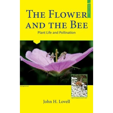 The Flower and The Bee
