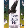 How Birds Fly
