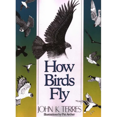 How Birds Fly