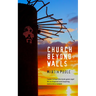 Church Beyond Walls: Christian Spirituality at Large