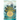 The Glass Sentence