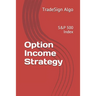 Option Income Strategy: S&P 500 Index