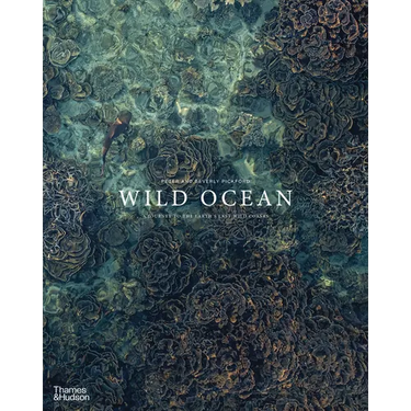 Wild Ocean: A Journey to the Earth's Last Wild Coasts