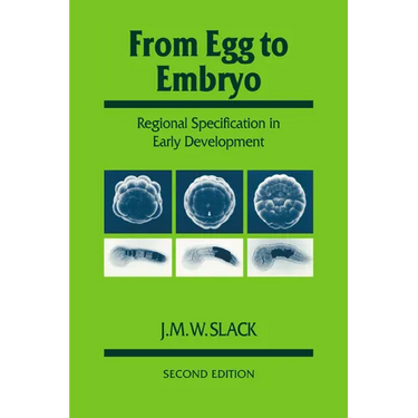 From Egg to Embryo: Regional Specification in Early Development