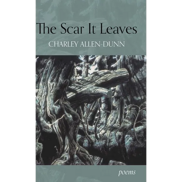 The Scar It Leaves
