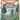 Finding Familiars