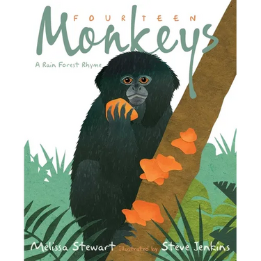 Fourteen Monkeys: A Rain Forest Rhyme
