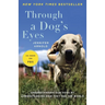 Through a Dog's Eyes: Understanding Our Dogs by Understanding How They See the World
