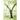 Song of the Split Elm