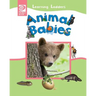 Animal Babies