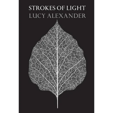 Strokes of Light