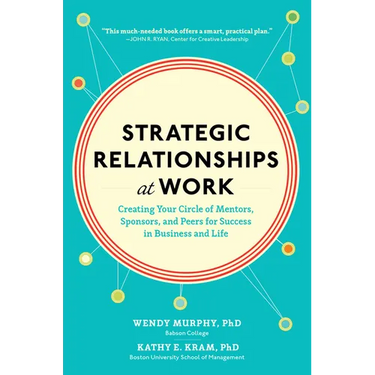 Strategic Relationships at Work (Pb)