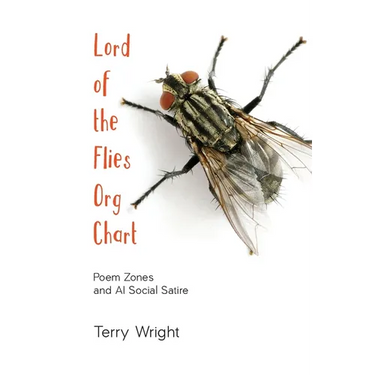 Lord of the Flies Org Chart: Poem Zones and AI Social Satire