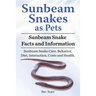 Sunbeam Snakes as Pets. Sunbeam Snake Facts and Information. Sunbeam Snake Care, Behavior, Diet, Interaction, Costs and Health.
