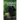 Gaventor's Journey