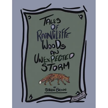 Tales of Raincliffe Woods: An Unexpected Storm